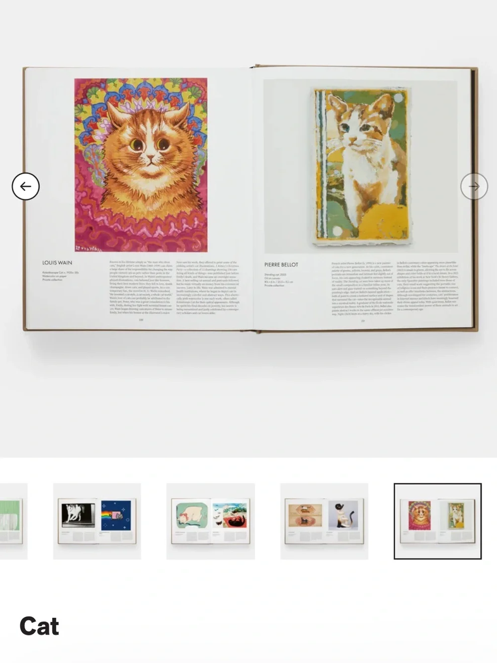 Cat Lover Gift- 1000 Piece Moody Cats Puzzle, Phaidon Cat Book, Glass Tumbler